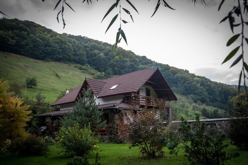 Casa De Piatra Βίλα Strungari Εξωτερικό φωτογραφία