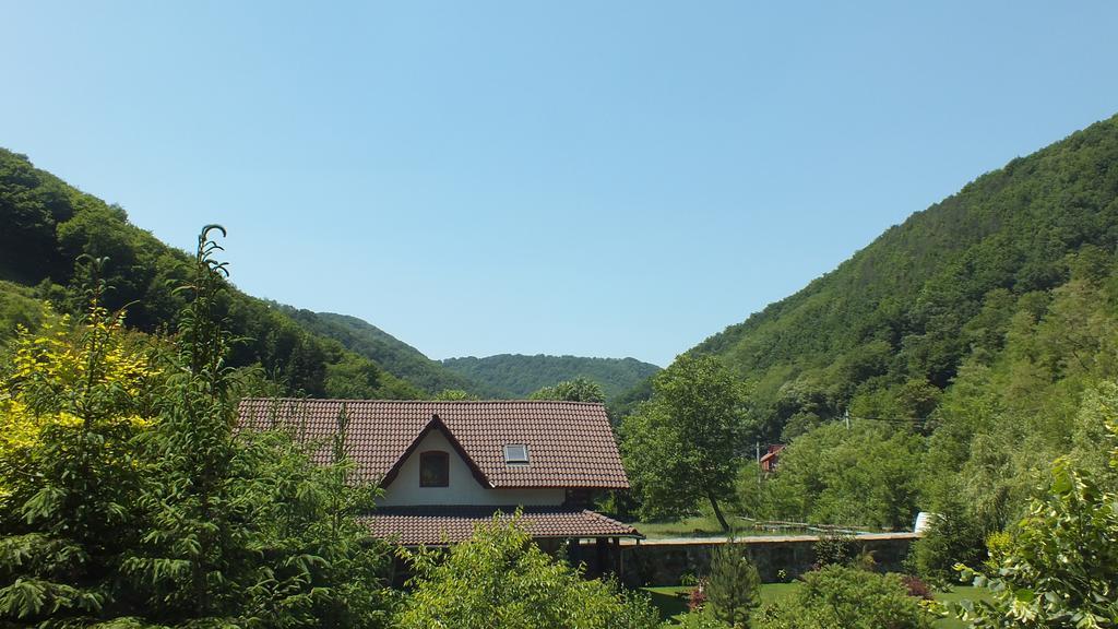 Casa De Piatra Βίλα Strungari Εξωτερικό φωτογραφία